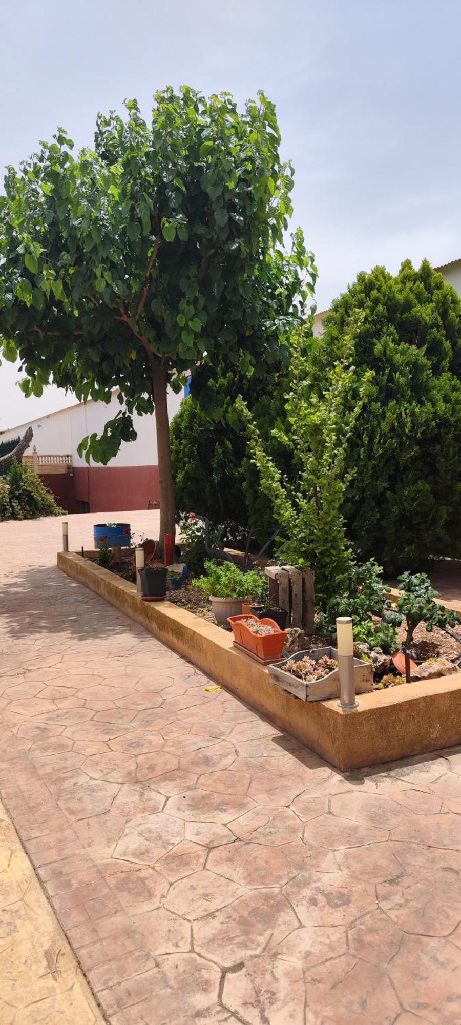 Casa Rural El Tejar San Clemente  Buitenkant foto